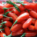 Native Organic Ningxia Goji Berries